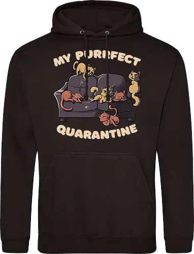Purrfect Quarantine