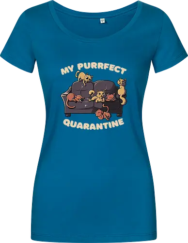 Purrfect Quarantine