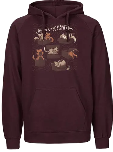 Cats in a Box - cat, katze, box, karton, Cardboard, cute - Fairtrade Hoodie