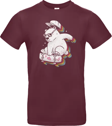 Rainbow Skate Bear