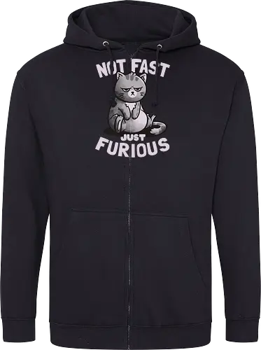 Not Fast Just Furious