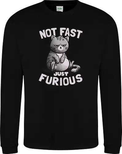 Not Fast Just Furious