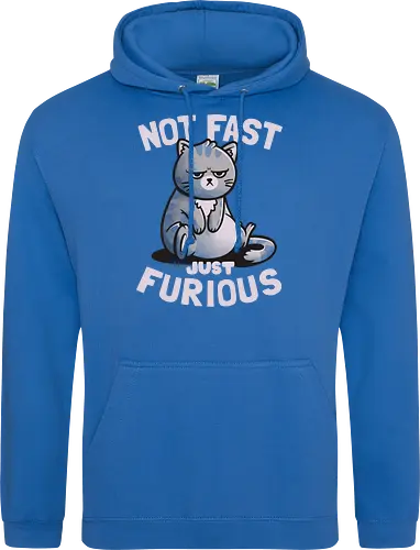 Not Fast Just Furious