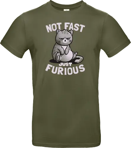 Not Fast Just Furious