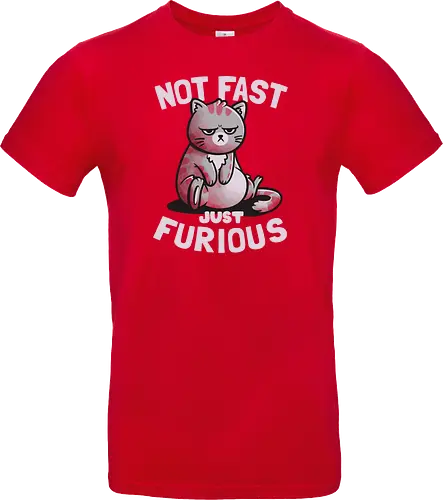 Not Fast Just Furious