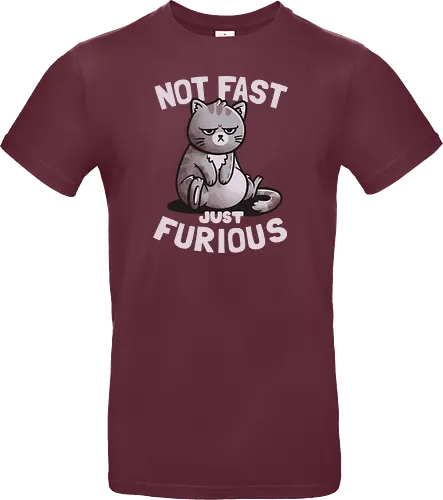 Not Fast Just Furious