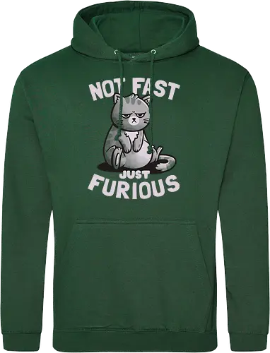 Not Fast Just Furious