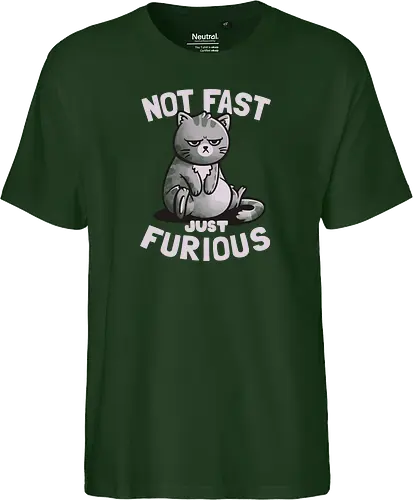 Not Fast Just Furious