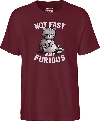 Not Fast Just Furious