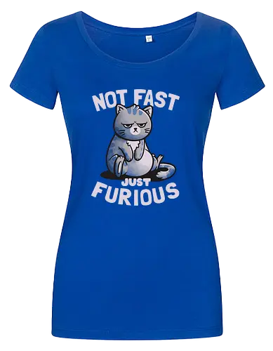 Not Fast Just Furious