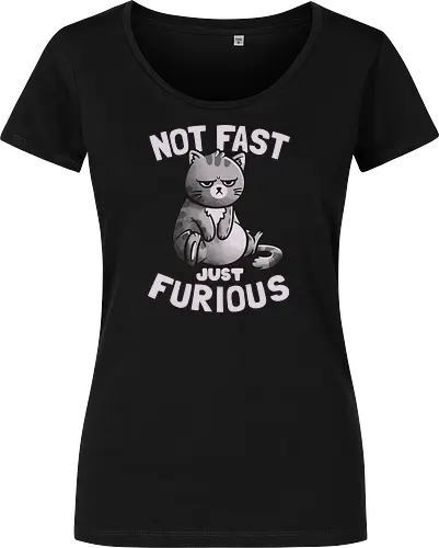 Not Fast Just Furious