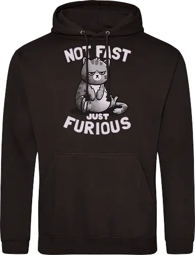 Not Fast Just Furious