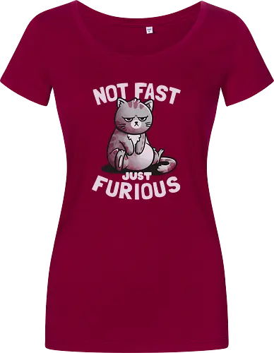 Not Fast Just Furious