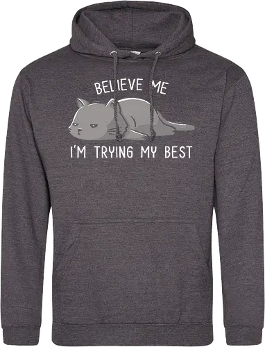 Believe Me I'm Trying My Best