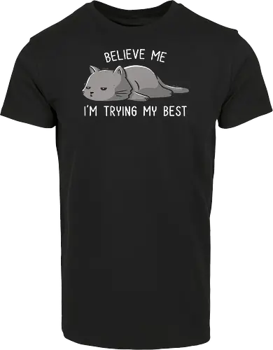 Believe Me I'm Trying My Best