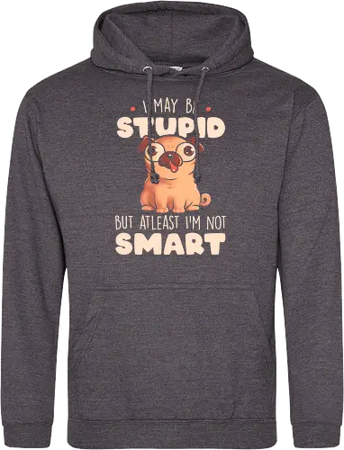 I May Be Stupid