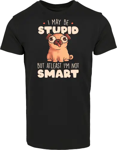 I May Be Stupid