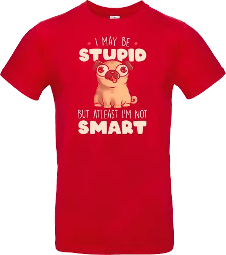 I May Be Stupid