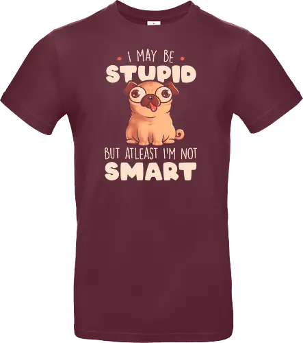 I May Be Stupid