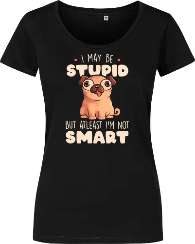 I May Be Stupid