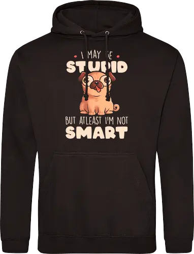 I May Be Stupid