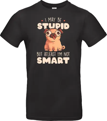 I May Be Stupid