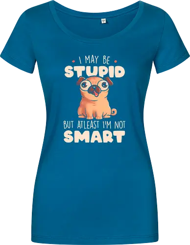 I May Be Stupid
