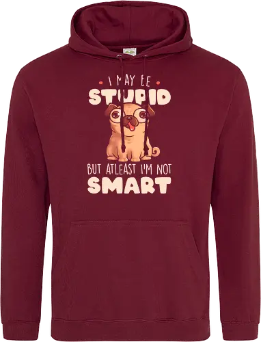 I May Be Stupid