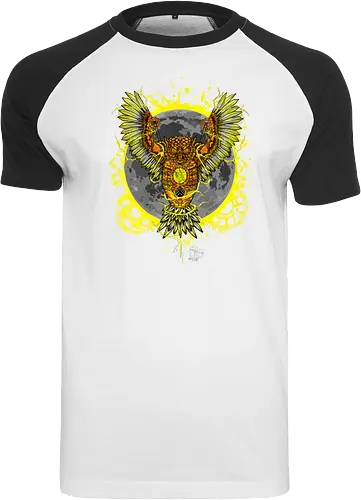 Robot Owl