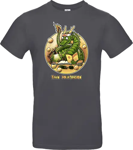 Train your Dragon
