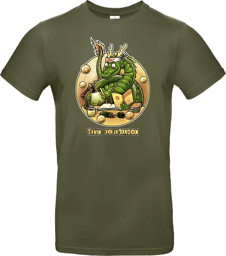 Train your Dragon
