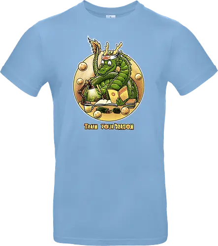 Train your Dragon