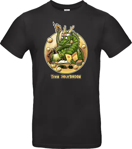 Train your Dragon