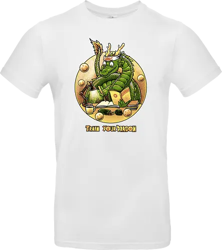 Train your Dragon