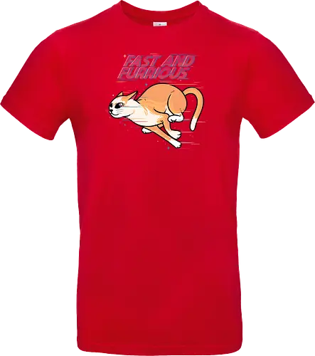Fast and Furrrious
