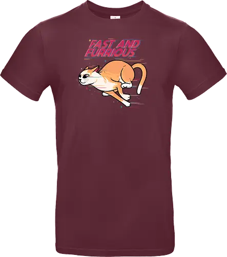Fast and Furrrious