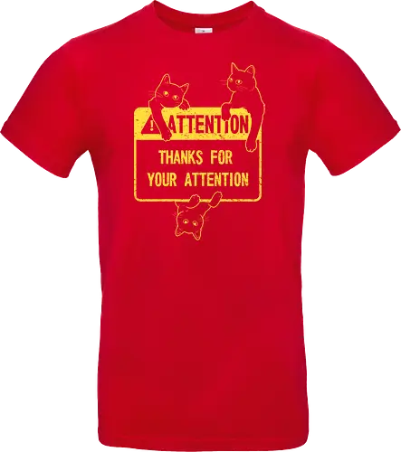 Attention