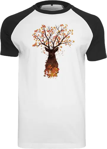 Fall Woods