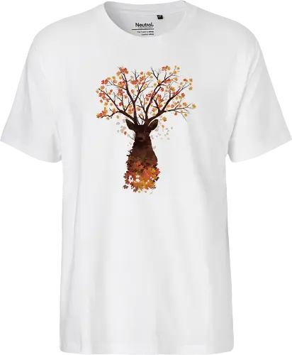 Fall Woods