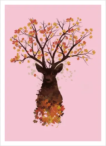 Fall Woods