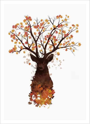Fall Woods