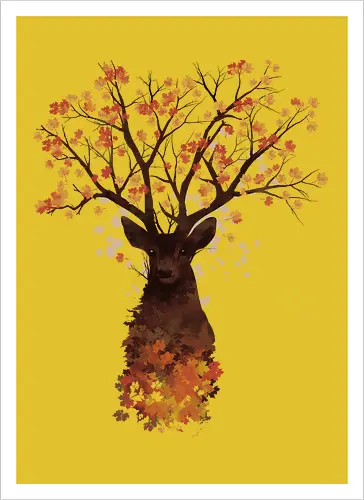 Fall Woods
