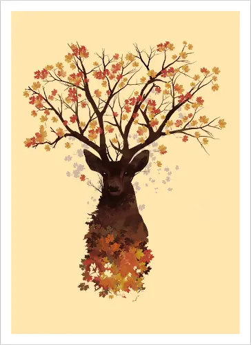 Fall Woods