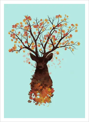 Fall Woods