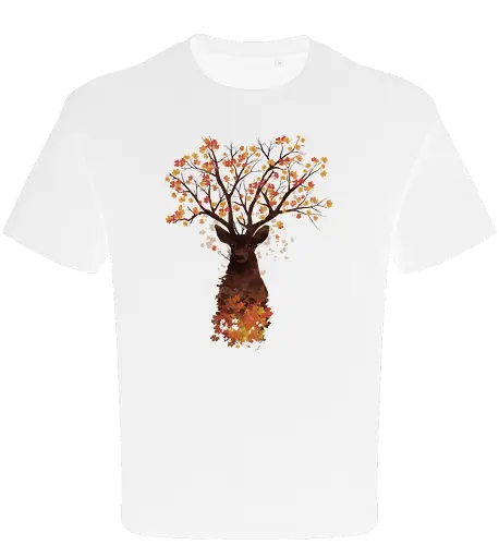 Fall Woods