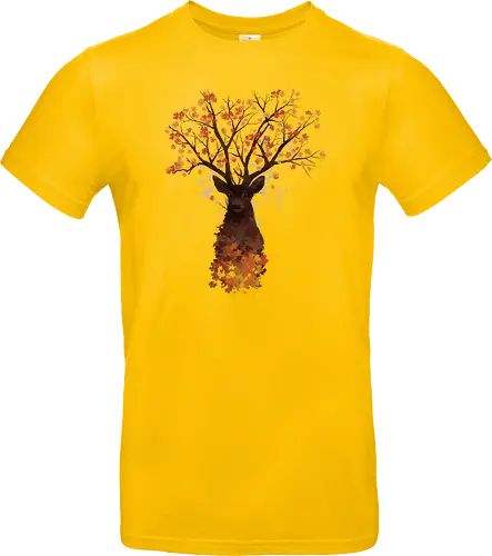 Fall Woods