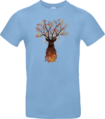Fall Woods
