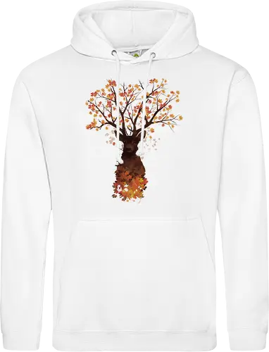 Fall Woods