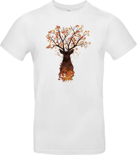 Fall Woods
