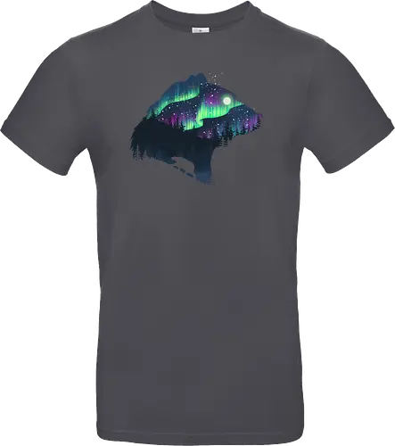 Northern Lights